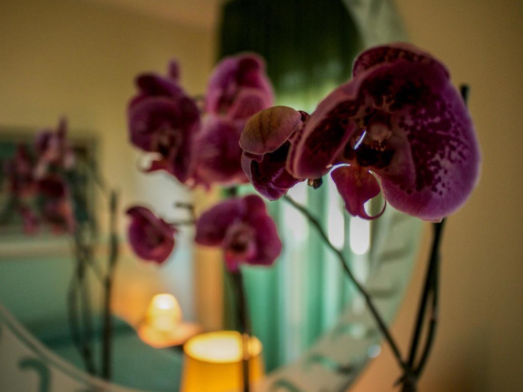 Blu Hotel San Nicola Manfredi Eksteriør bilde
